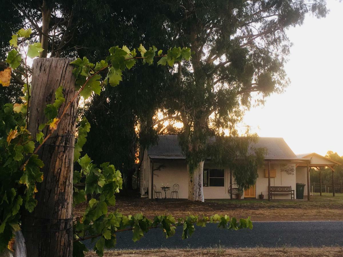 Rivergum Cottage Swan Valley Henley Brook Eksteriør billede