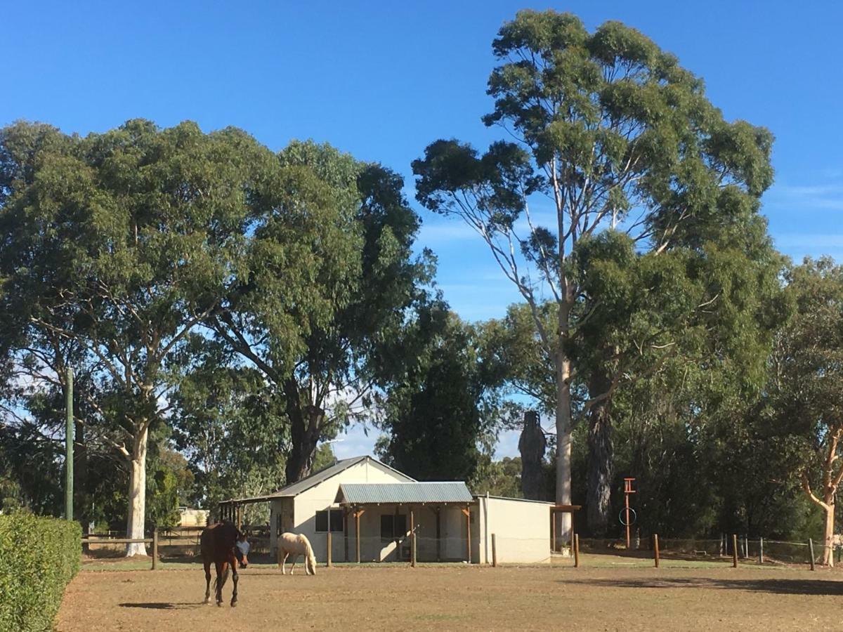 Rivergum Cottage Swan Valley Henley Brook Eksteriør billede